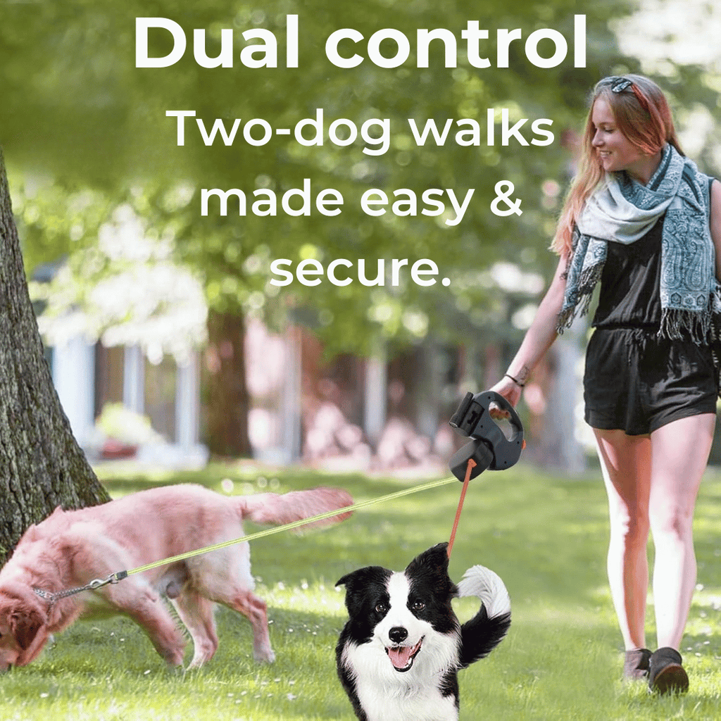 Image of a two-dog leash system engineered for effortless walks, featuring a 360° swivel for tangle‑free movement, dual controls for secure handling, an ergonomic non-slip handle, and a detachable trash container for easy cleanup. Ideal for pet owners seeking innovative, durable, and safe two-dog adventures.