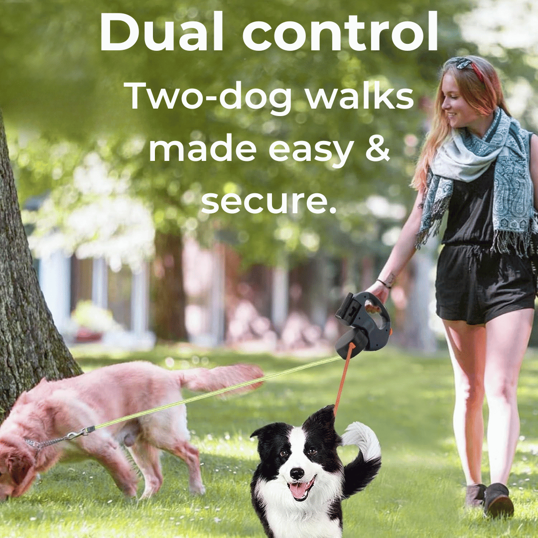 Image of a two-dog leash system engineered for effortless walks, featuring a 360° swivel for tangle‑free movement, dual controls for secure handling, an ergonomic non-slip handle, and a detachable trash container for easy cleanup. Ideal for pet owners seeking innovative, durable, and safe two-dog adventures.