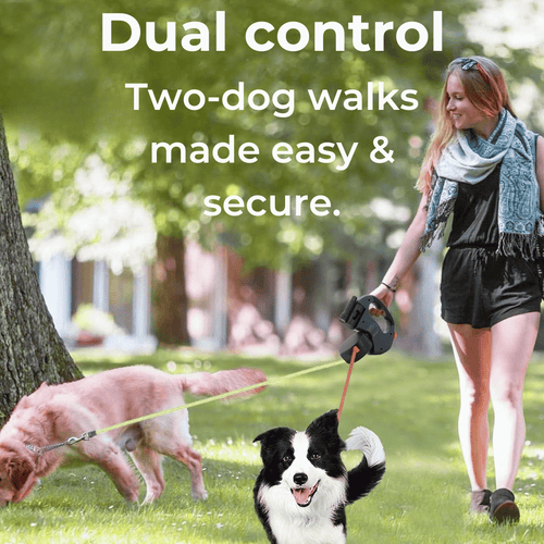 Image of a two-dog leash system engineered for effortless walks, featuring a 360° swivel for tangle‑free movement, dual controls for secure handling, an ergonomic non-slip handle, and a detachable trash container for easy cleanup. Ideal for pet owners seeking innovative, durable, and safe two-dog adventures.
