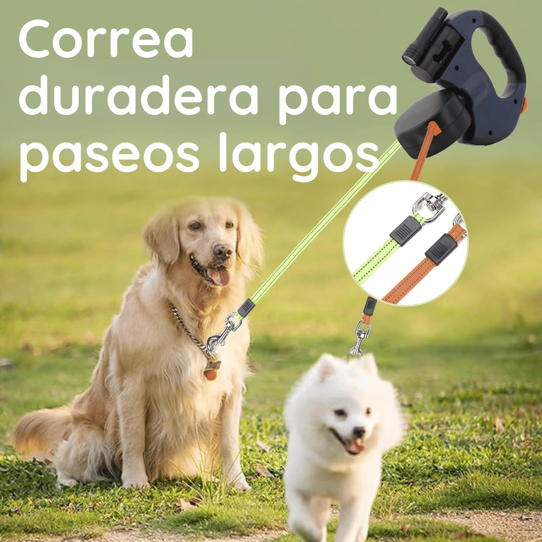 Imagen de un Golden Retriever y un Pomerania en paseo, usando una correa dual retráctil en verde y naranja, diseñada para ofrecer durabilidad en paseos largos.